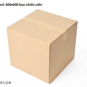 1 hộp gạch 300x600 bao nhiêu viên